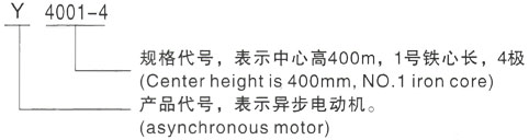 西安泰富西玛Y系列(H355-1000)高压YKK5601-12三相异步电机型号说明